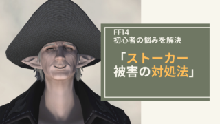 Ff14 キャラメイクは何が重要 キャラメイクの基礎知識 Amemiya Memo